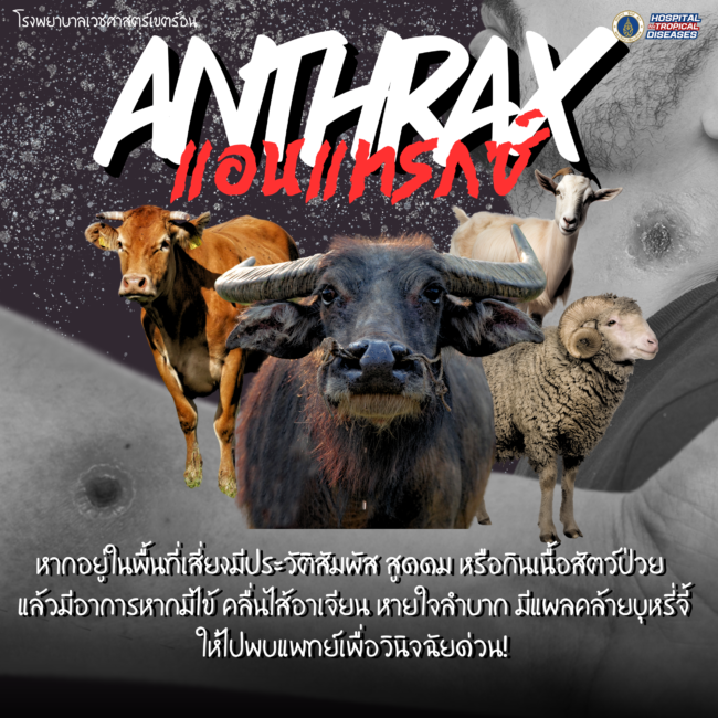 หัวเรื่อง (3)