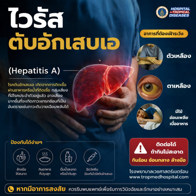 ไวรัสตับอักเสบเอ (Hepatitis A)